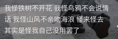 图片截图于抖音。