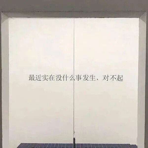 ins背景图