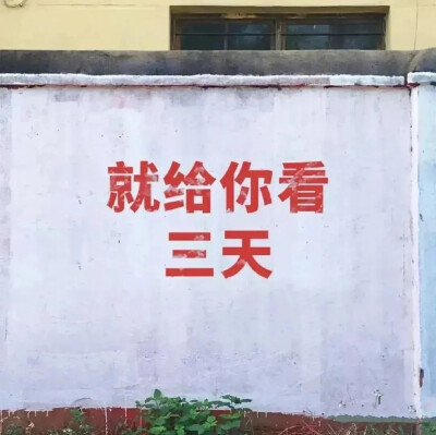 ins背景图