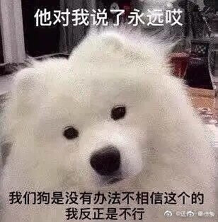 天呐每天都要学好多
