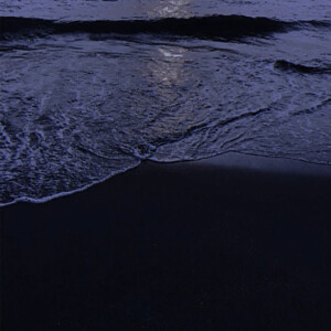      /


     宫胁咲良
许景