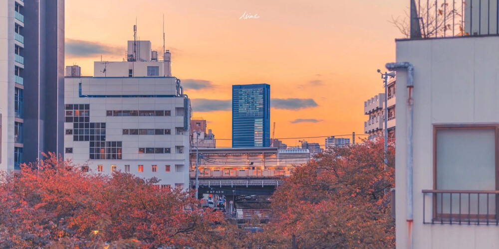 温暖唯美的夕阳天空