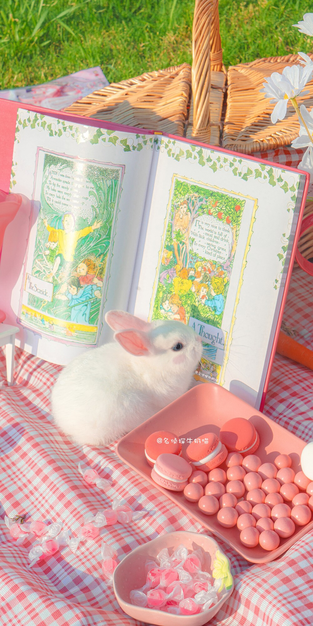 野餐吗
和草莓味的兔子♡
web: 名侦探牛奶喵
