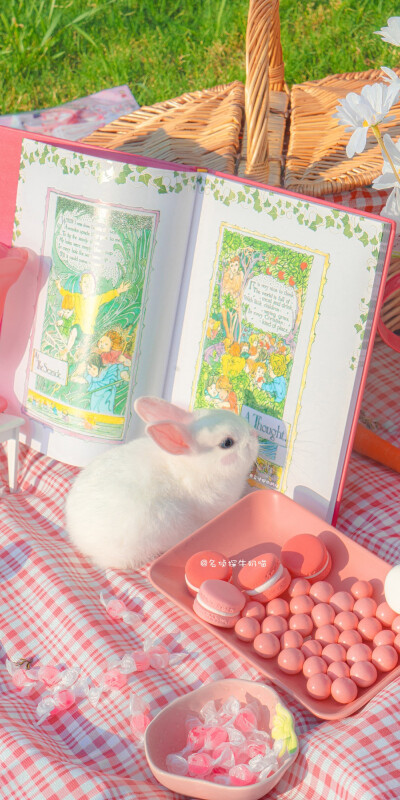 野餐吗
和草莓味的兔子♡
web: 名侦探牛奶喵
