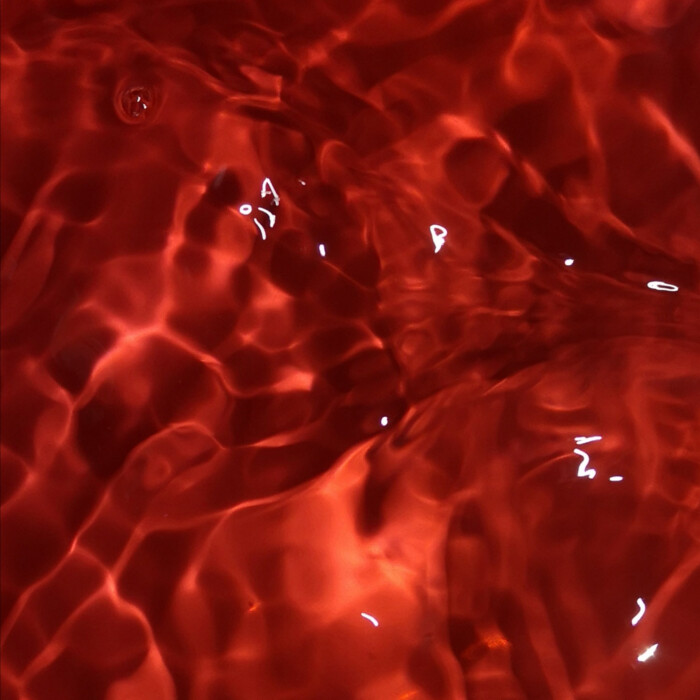 公主在城堡淋了一晚上的雨.
>GuardUNene·郑乃馨