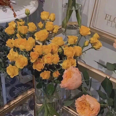 ᴵᶠ ʸᵒᵘ ᵃʳᵉ ᵃ ᵖᵃˢˢᵉʳ-ᵇʸ, ʸᵒᵘ ˢʰᵒᵘˡᵈ ᵖᵃˢˢ ᵇʸ.
是路人就该好好路过 。