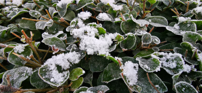 成都的下雪天