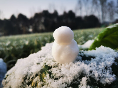 成都的下雪天