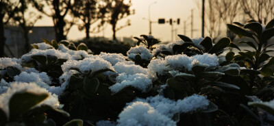 成都的下雪天