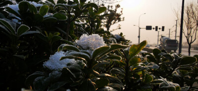 成都的下雪天