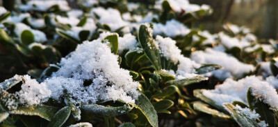 成都的下雪天