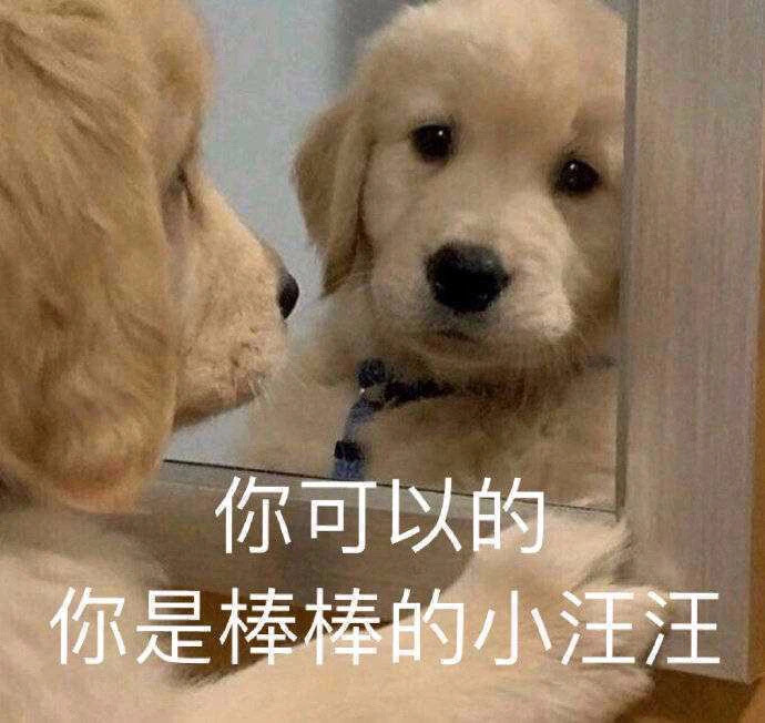 你是最棒的