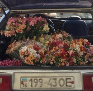 花车