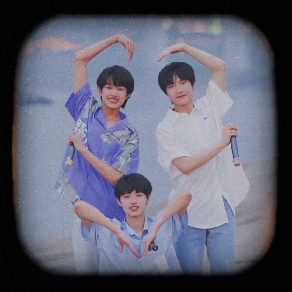 tf家族