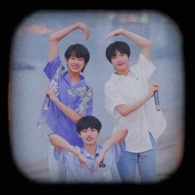 tf家族