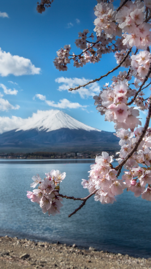 富士山