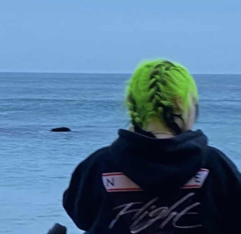 碧梨 billieeilish ins自截