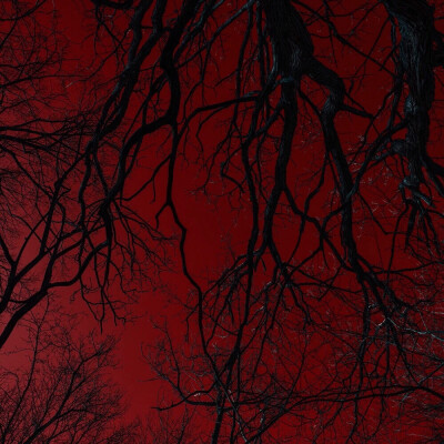  I'll be ridin'on a wave drippin' water tonight