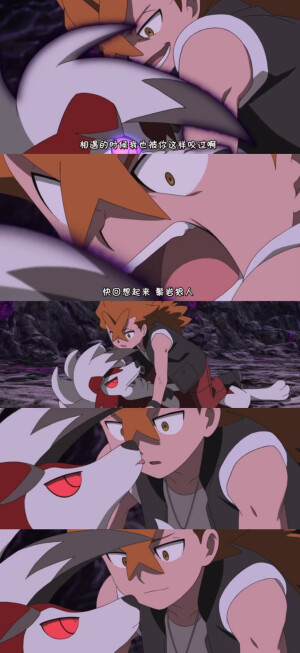 精灵宝可梦