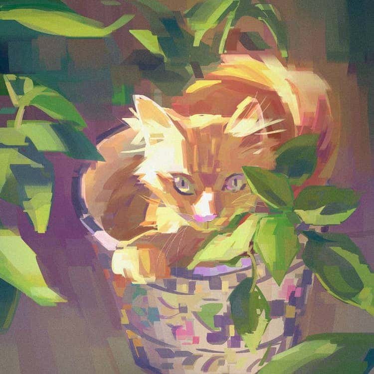 慵懒的猫 .Wayne Tsay ​​​