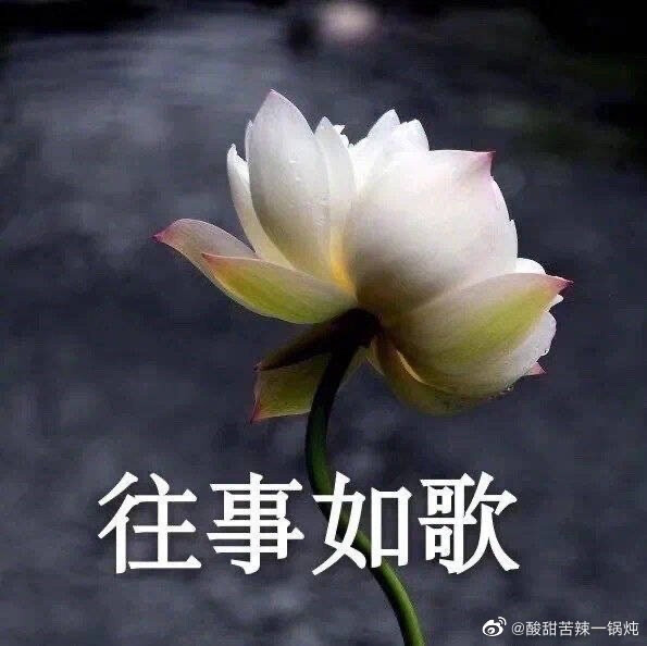 父母头像