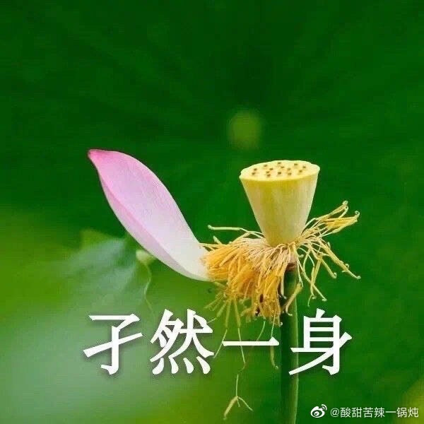 父母头像