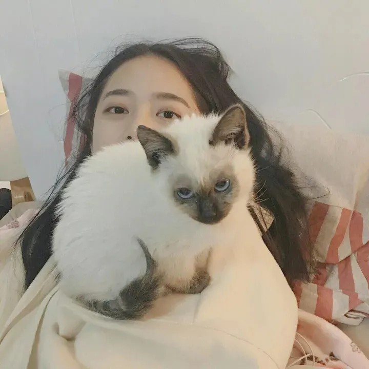 女生头像 抱猫