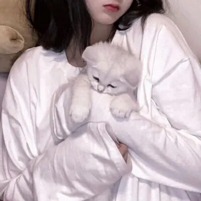 女生头像 抱猫