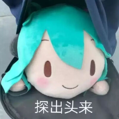 初音fufu