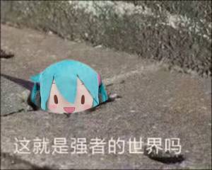 初音fufu