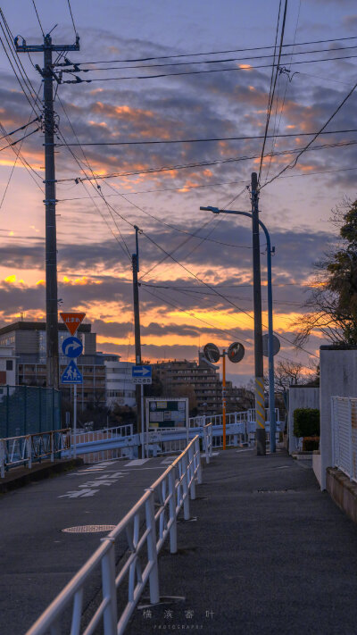 横滨寄叶