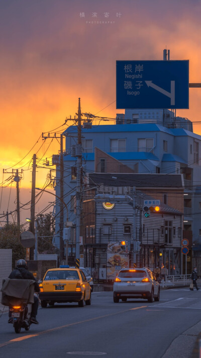 横滨寄叶