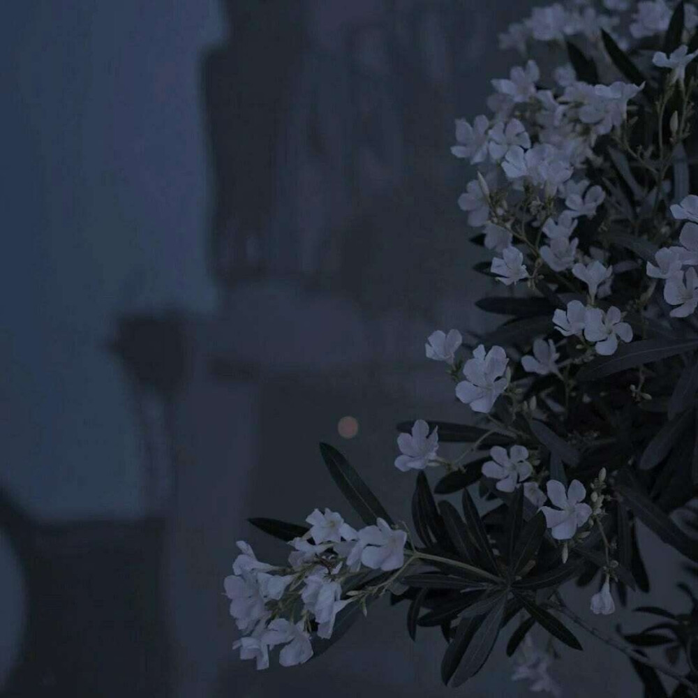 祝你仍然是你
/背景图