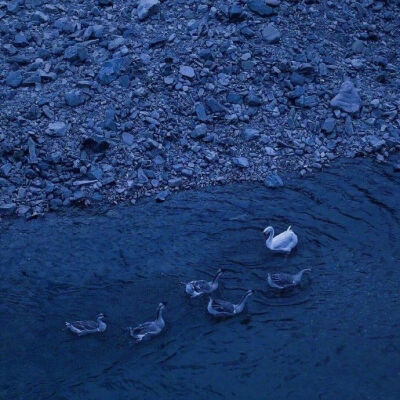 祝你仍然是你
/背景图