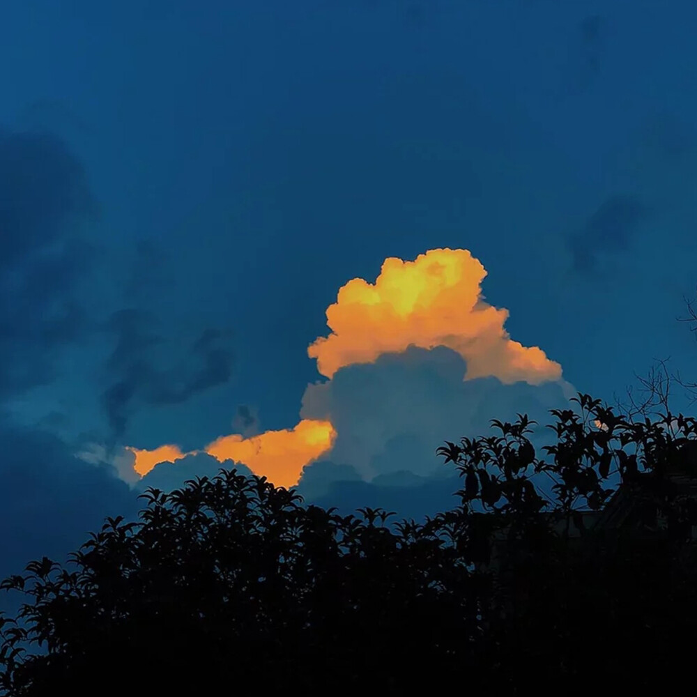 祝你仍然是你
/背景图