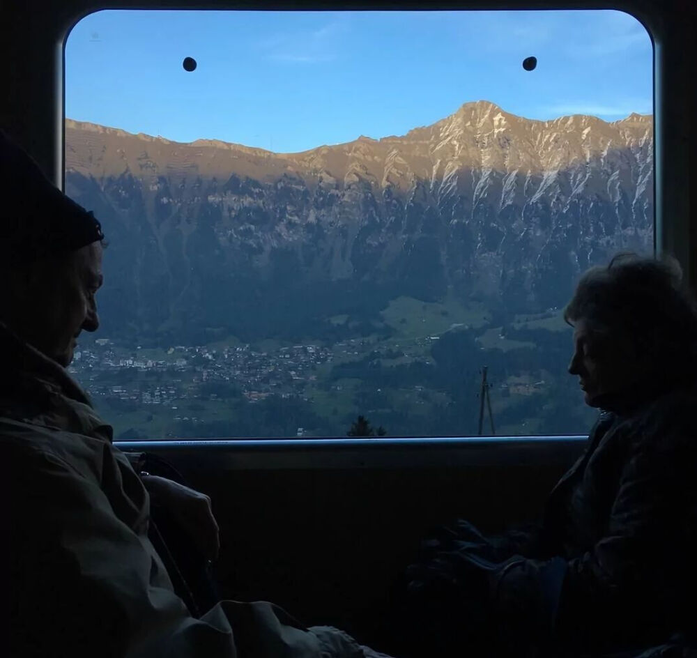 祝你仍然是你
/背景图