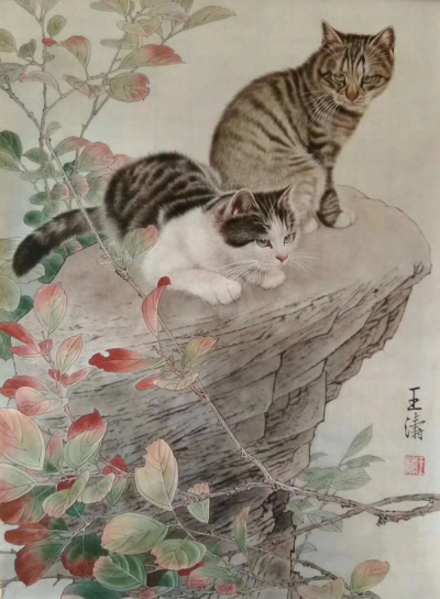 王涛—画猫