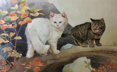 王涛—画猫