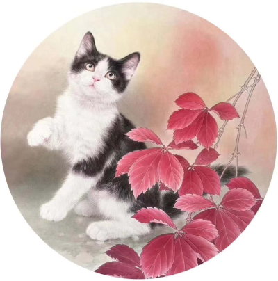 王涛—画猫