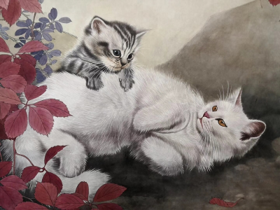王涛—画猫
