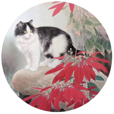 王涛—画猫