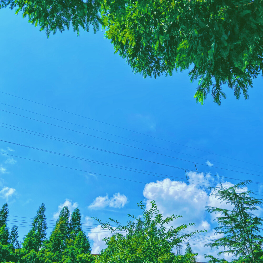 不喜夏日
但是夏天拍照确实是好看
拒绝温度❌
随手拍拍拍
好好看