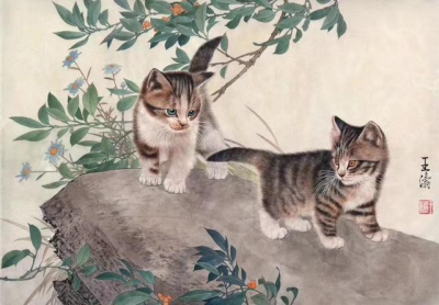 王涛—画猫