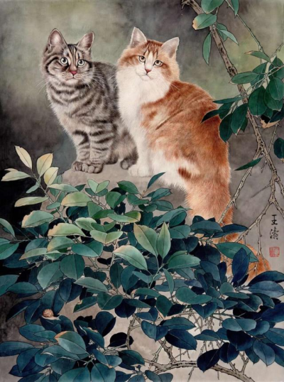王涛—画猫