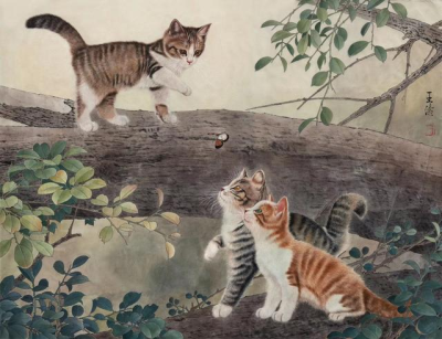 王涛—画猫