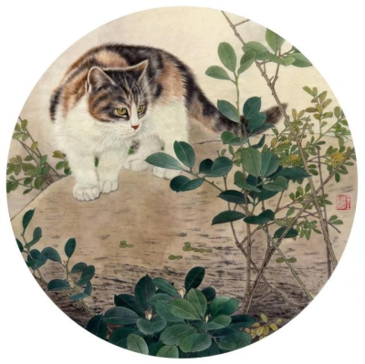 王涛—画猫