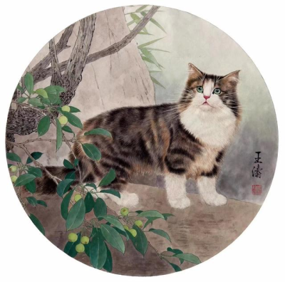 王涛—画猫