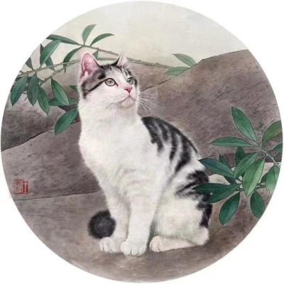 王涛—画猫