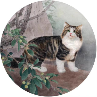 王涛—画猫