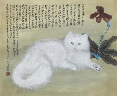 刘继卣—画猫